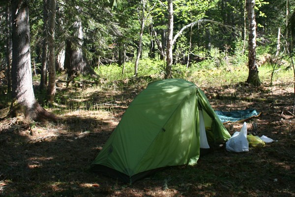 Ночёвка в ельнике, точка "Camping 2" (см.схему выше)